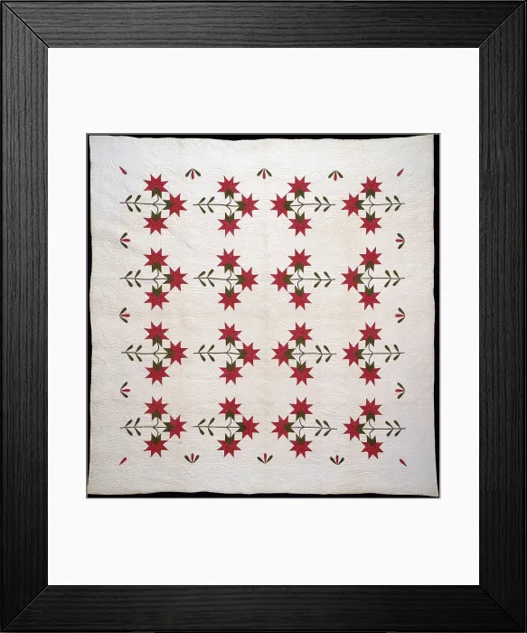 Framed Print : Bedcover (North Carolina Lily Quilt), United States, c.1850. Creator: Unknown Framed Print : Bedcover (North Carolina Lily Quilt), United States, c.1850. Creator: Unknown