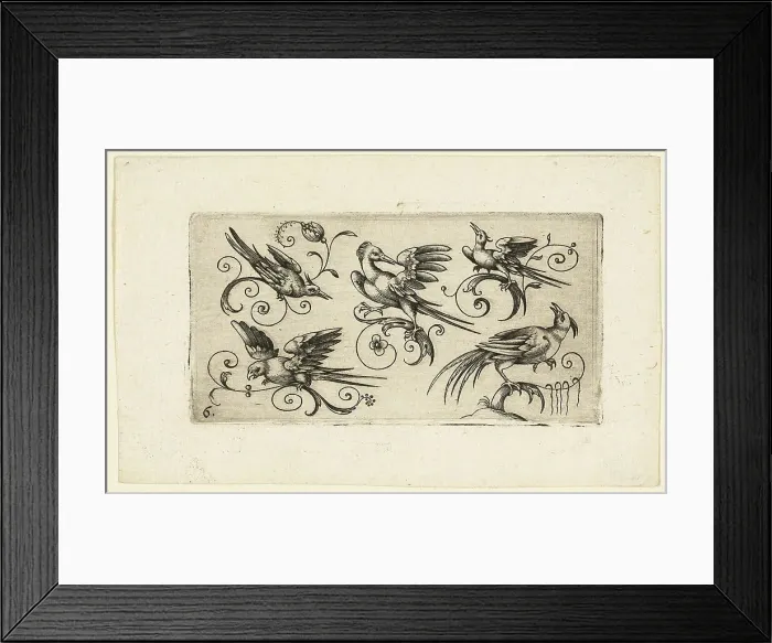 Framed Print : Ornament Panels with Birds: Plate 6, 1617. Creator: Adrian Muntink Framed Print : Ornament Panels with Birds: Plate 6, 1617. Creator: Adrian Muntink