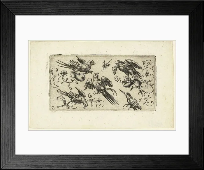 Framed Print : Ornament Panels with Birds: Plate 7, 1617. Creator: Adrian Muntink Framed Print : Ornament Panels with Birds: Plate 7, 1617. Creator: Adrian Muntink