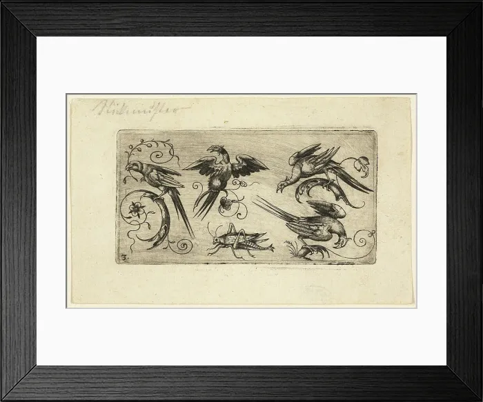 Framed Print : Ornament Panels with Birds: Plate 3, 1617. Creator: Adrian Muntink Framed Print : Ornament Panels with Birds: Plate 3, 1617. Creator: Adrian Muntink