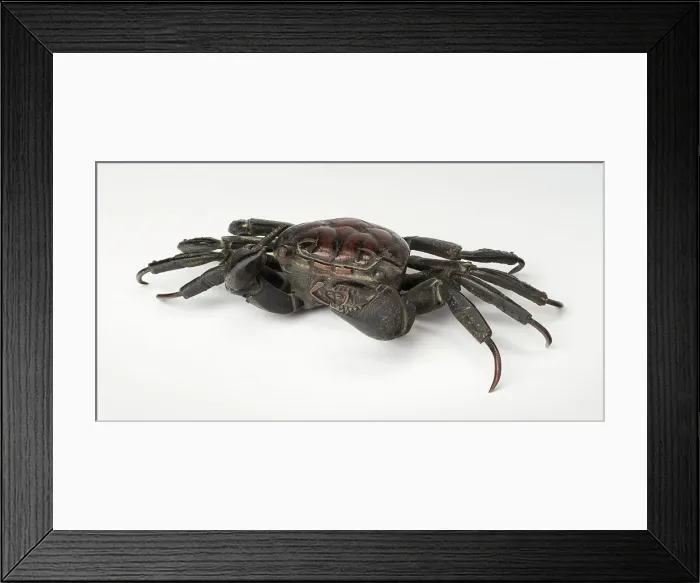 Framed Print : Articulated crab, 19th century. Creator: Unknown Framed Print : Articulated crab, 19th century. Creator: Unknown