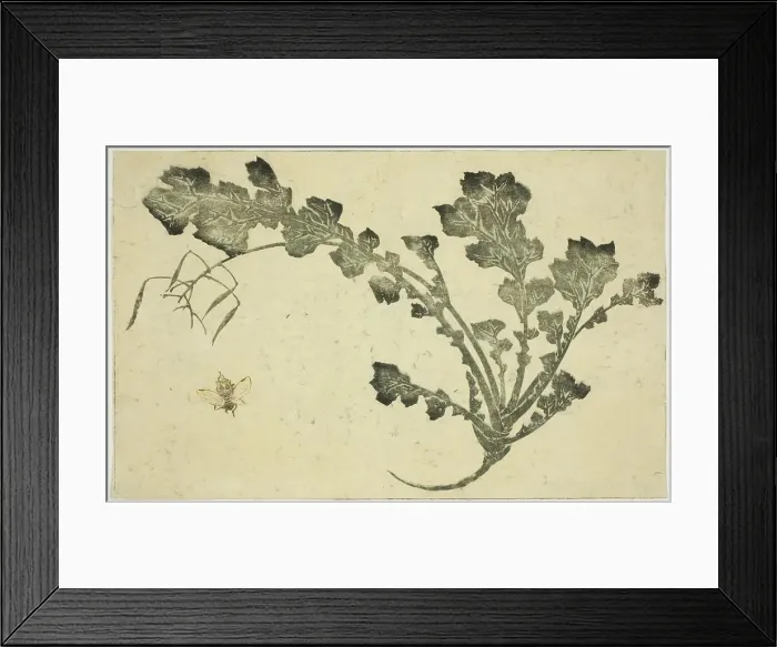 Framed Print : Wasp and turnip stalk, from The Picture Book of Realistic Paintings of Hokusai... Japan, c. 1814. Creator: Hokusai. Wasp and turnip stalk, from The Picture Book of Realistic Paintings of Hokusai... Japan, c. 1814. Creator: Hokusai Framed Print : Wasp and turnip stalk, from The Picture Book of Realistic Paintings of Hokusai... Japan, c. 1814. Creator: Hokusai. Wasp and turnip stalk, from The Picture Book of Realistic Paintings of Hokusai... Japan, c. 1814. Creator: Hokusai