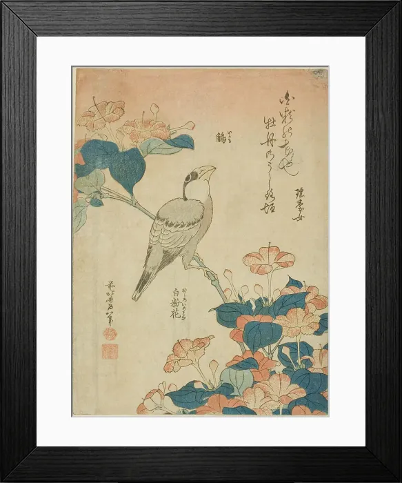 Framed Print : Japanese Grosbeak and Marvel of Peru (Ikaru, oshiroi no hana), from an untitled series...c. 1834. Creator: Hokusai Framed Print : Japanese Grosbeak and Marvel of Peru (Ikaru, oshiroi no hana), from an untitled series...c. 1834. Creator: Hokusai