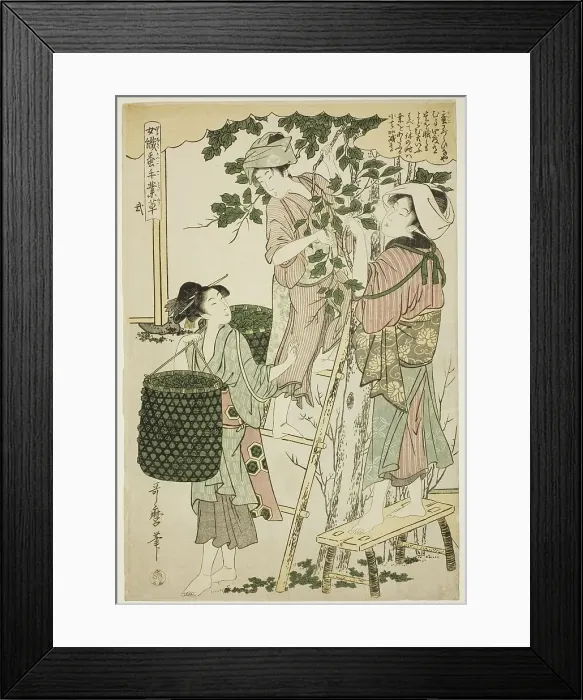 Framed Print : No. 2 (ni), from the series Women Engaged in the Sericulture Industry (Joshoku kaiko...c.1798 / 1800. Creator: Kitagawa Utamaro. No. 2 (ni), from the series Women Engaged in the Sericulture Industry (Joshoku kaiko...c.1798 / 1800) Framed Print : No. 2 (ni), from the series Women Engaged in the Sericulture Industry (Joshoku kaiko...c.1798 / 1800. Creator: Kitagawa Utamaro. No. 2 (ni), from the series Women Engaged in the Sericulture Industry (Joshoku kaiko...c.1798 / 1800)
