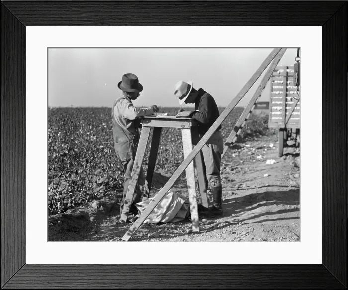 Framed Print : Cotton checkers, San Joaquin Valley, California, 1936. Creator: Dorothea Lange Framed Print : Cotton checkers, San Joaquin Valley, California, 1936. Creator: Dorothea Lange