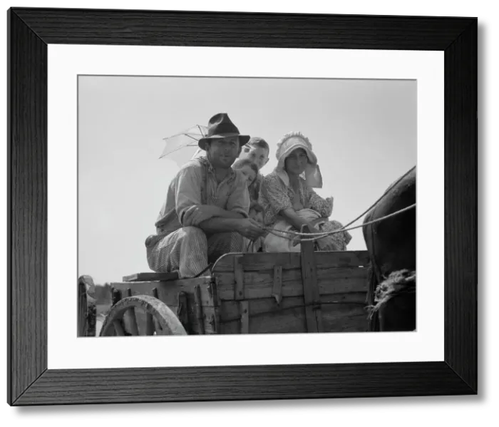 Framed Print : Sharecropper family near Hazlehurst, Georgia, 1937. Creator: Dorothea Lange Framed Print : Sharecropper family near Hazlehurst, Georgia, 1937. Creator: Dorothea Lange