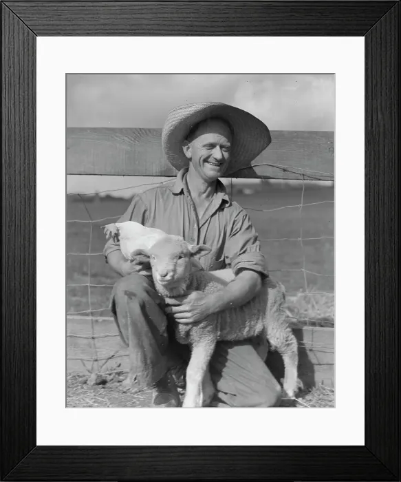 Framed Print : Rural Rehabilitation Administration client, Hayward, California, 1936. Creator: Dorothea Lange Framed Print : Rural Rehabilitation Administration client, Hayward, California, 1936. Creator: Dorothea Lange