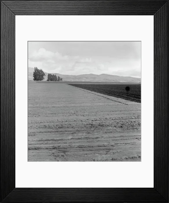 Framed Print : Freshly-plowed sugar beet field near King City, scale of farm operations in California, 1936. Creator: Dorothea Lange Framed Print : Freshly-plowed sugar beet field near King City, scale of farm operations in California, 1936. Creator: Dorothea Lange
