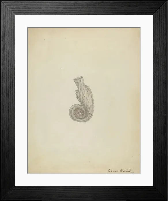 Framed Print : Scent Bottle, c. 1938. Creator: Paul Ward Framed Print : Scent Bottle, c. 1938. Creator: Paul Ward