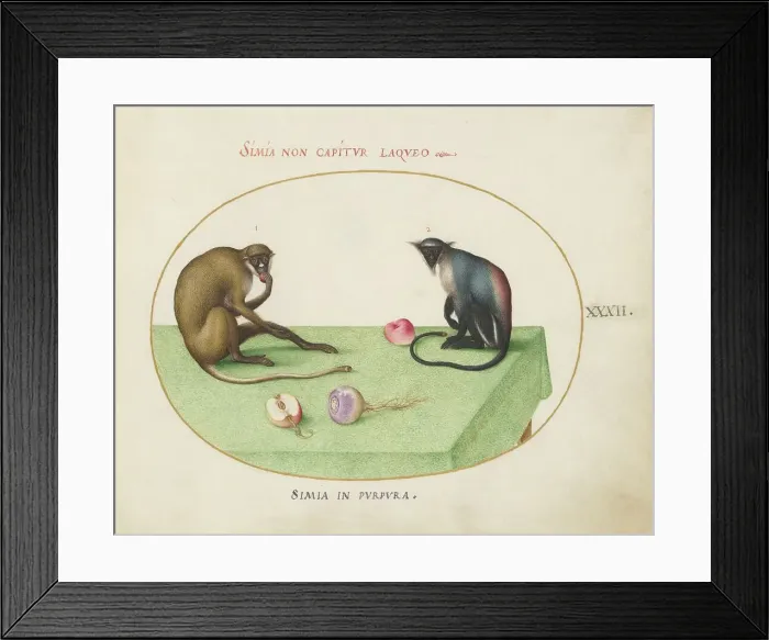 Framed Print : Animalia Qvadrvpedia et Reptilia (Terra): Plate XXXII, c. 1575 / 1580. Creator: Joris Hoefnagel Framed Print : Animalia Qvadrvpedia et Reptilia (Terra): Plate XXXII, c. 1575 / 1580. Creator: Joris Hoefnagel