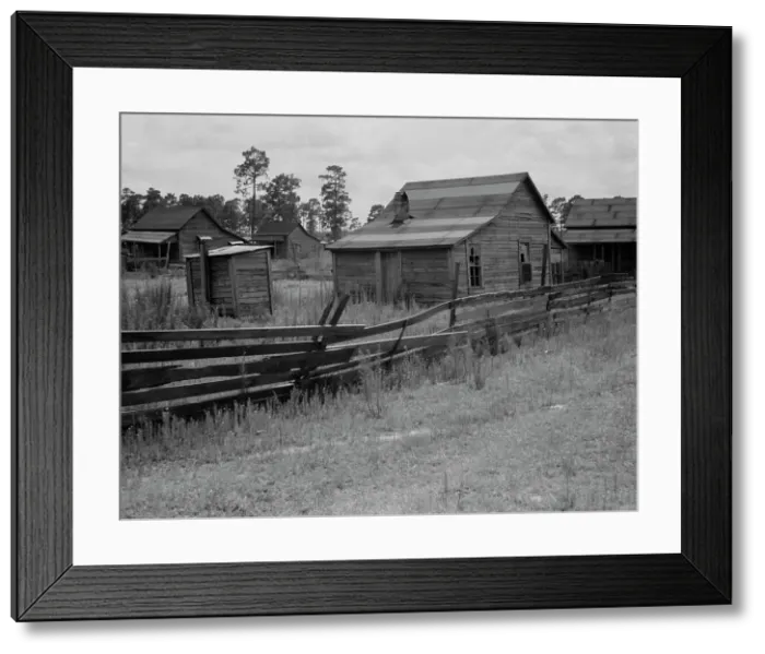 Framed Print : Careyville, northern Florida, 1937. Creator: Dorothea Lange Framed Print : Careyville, northern Florida, 1937. Creator: Dorothea Lange