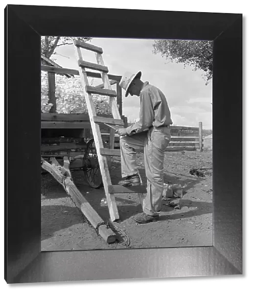 Small cotton farmer, Kern County, California, 1938. Creator: Dorothea Lange