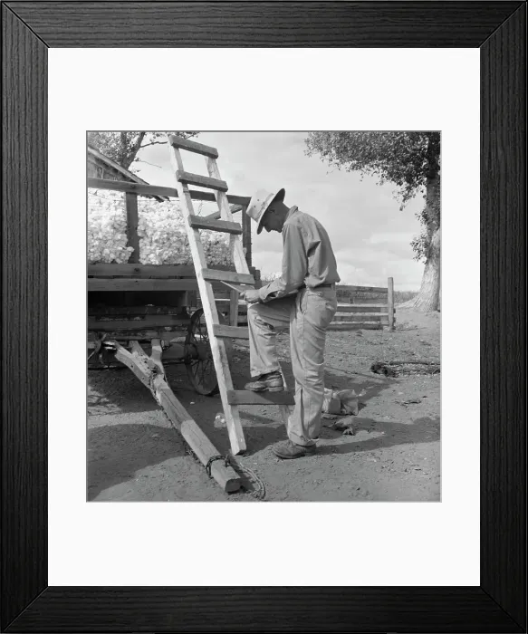 Framed Print : Small cotton farmer, Kern County, California, 1938. Creator: Dorothea Lange Framed Print : Small cotton farmer, Kern County, California, 1938. Creator: Dorothea Lange