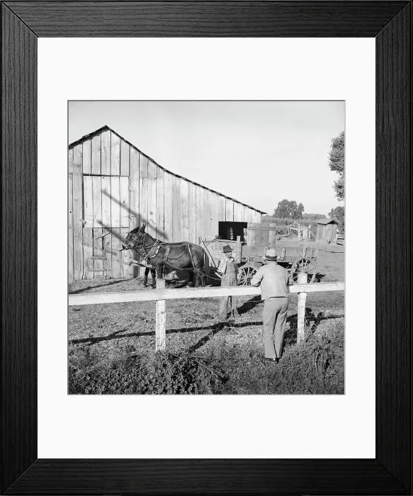 Framed Print : Farm Security Administration rural rehabilitation client, Tulare County, California, 1938. Creator: Dorothea Lange Framed Print : Farm Security Administration rural rehabilitation client, Tulare County, California, 1938. Creator: Dorothea Lange