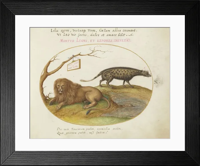 Framed Print : Animalia Qvadrvpedia et Reptilia (Terra): Plate X, c. 1575 / 1580. Creator: Joris Hoefnagel Framed Print : Animalia Qvadrvpedia et Reptilia (Terra): Plate X, c. 1575 / 1580. Creator: Joris Hoefnagel