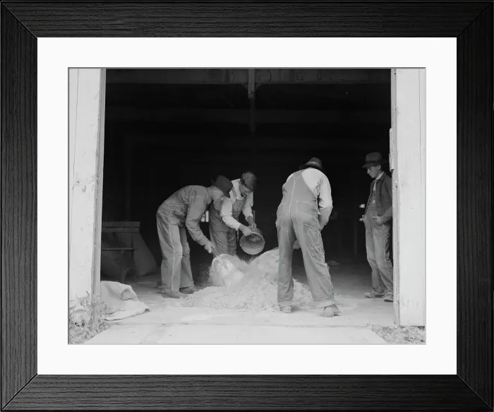 Framed Print : Farmers sack mixed grasshopper bait...Oklahoma, 1937. Creator: Dorothea Lange Framed Print : Farmers sack mixed grasshopper bait...Oklahoma, 1937. Creator: Dorothea Lange
