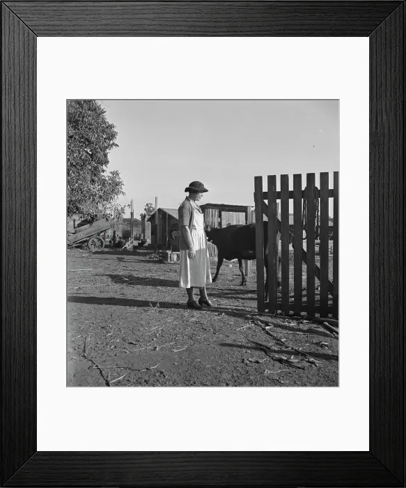 Framed Print : Wife of Farm Security Administration rural rehabilitation client, Tulare County, California, 1938. Creator: Dorothea Lange Framed Print : Wife of Farm Security Administration rural rehabilitation client, Tulare County, California, 1938. Creator: Dorothea Lange