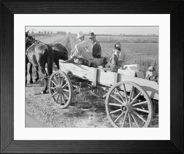 Framed Print : Horse and wagon is still a common means of transportation... Southeast Missouri Farms, 1938. Creator: Dorothea Lange Framed Print : Horse and wagon is still a common means of transportation... Southeast Missouri Farms, 1938. Creator: Dorothea Lange
