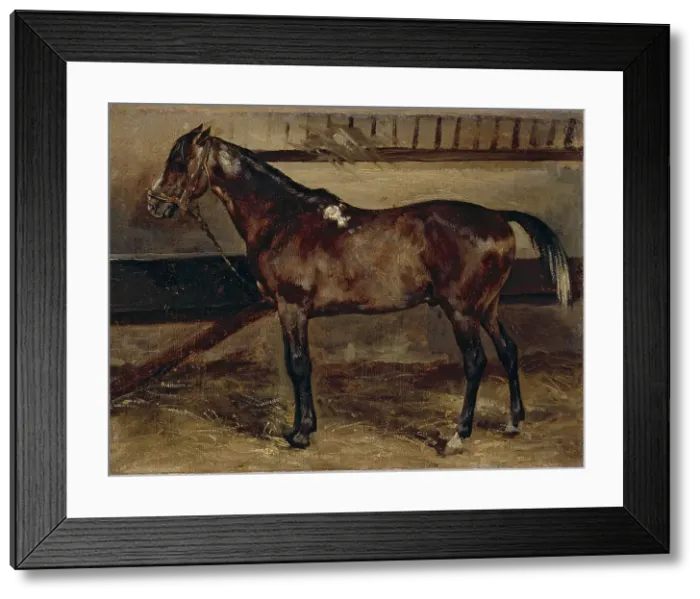 Framed Print : Brown horse in a stable, 1818. Creator: Theodore Gericault Framed Print : Brown horse in a stable, 1818. Creator: Theodore Gericault