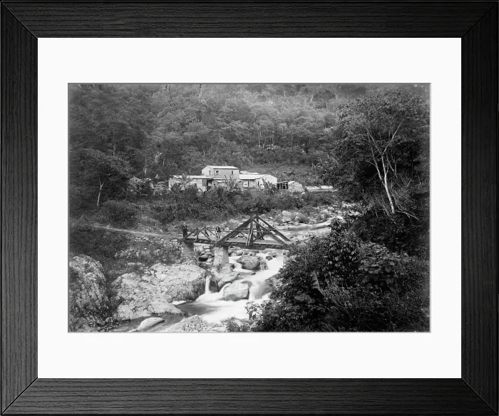 Framed Print : Puerto Rico Roads, Bridges, And Road Construction, 1912. Creator: Harris & Ewing. Puerto Rico Roads, Bridges, And Road Construction, 1912. Creator: Harris & Ewing Framed Print : Puerto Rico Roads, Bridges, And Road Construction, 1912. Creator: Harris & Ewing. Puerto Rico Roads, Bridges, And Road Construction, 1912. Creator: Harris & Ewing