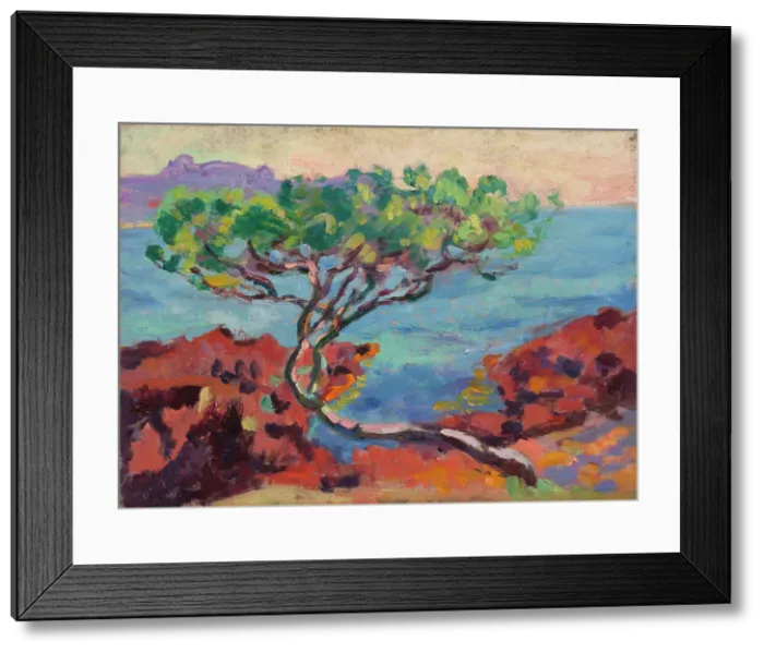 Framed Print : Sea ??landscape. Creator: Armand Guillaumin Framed Print : Sea ??landscape. Creator: Armand Guillaumin