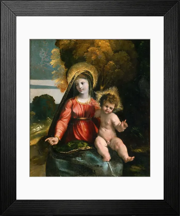 Framed Print : Madonna and Child, ca 1517. Creator: Dossi, Dosso (ca. 1486-1542) Framed Print : Madonna and Child, ca 1517. Creator: Dossi, Dosso (ca. 1486-1542)