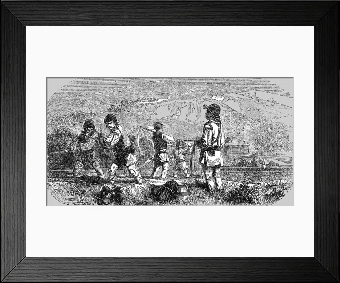 Framed Print : Greek Husbandmen, 1854. Creator: Unknown Framed Print : Greek Husbandmen, 1854. Creator: Unknown