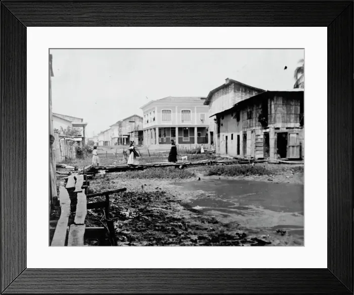Framed Print : Ecuador - Scenes In Quayaquil, Ecuador, 1912. Creator: Harris & Ewing. Ecuador - Scenes In Quayaquil, Ecuador, 1912. Creator: Harris & Ewing Framed Print : Ecuador - Scenes In Quayaquil, Ecuador, 1912. Creator: Harris & Ewing. Ecuador - Scenes In Quayaquil, Ecuador, 1912. Creator: Harris & Ewing