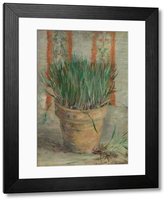 Framed Print : Flowerpot with Garlic Chives, 1887. Creator: Gogh, Vincent, van (1853-1890) Framed Print : Flowerpot with Garlic Chives, 1887. Creator: Gogh, Vincent, van (1853-1890)