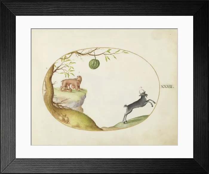 Framed Print : Animalia Qvadrvpedia et Reptilia (Terra): Plate XXXIII, c. 1575 / 1580. Creator: Joris Hoefnagel Framed Print : Animalia Qvadrvpedia et Reptilia (Terra): Plate XXXIII, c. 1575 / 1580. Creator: Joris Hoefnagel