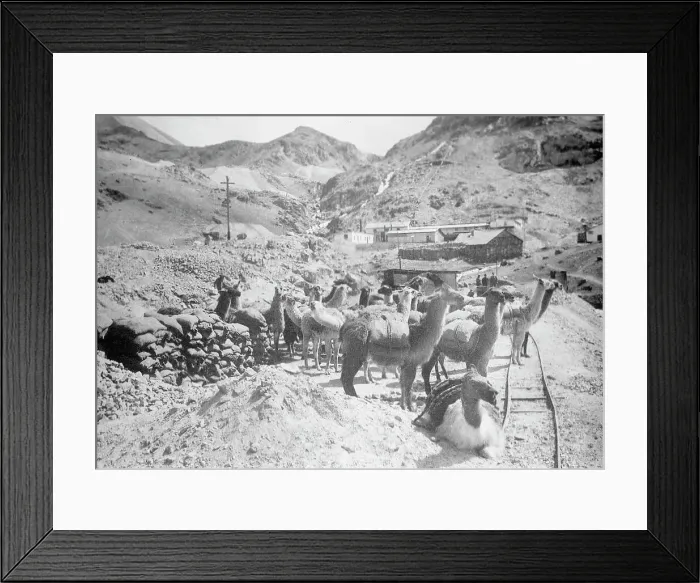 Framed Print : Peru Scenes, 1912. Creator: Harris & Ewing. Peru Scenes, 1912. Creator: Harris & Ewing Framed Print : Peru Scenes, 1912. Creator: Harris & Ewing. Peru Scenes, 1912. Creator: Harris & Ewing
