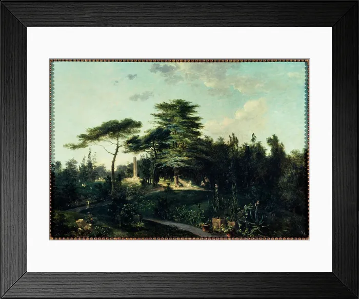 Framed Print : The Cedar of Lebanon, in the Jardin des Plantes, c1800. Creator: Jean-Pierre Houel Framed Print : The Cedar of Lebanon, in the Jardin des Plantes, c1800. Creator: Jean-Pierre Houel
