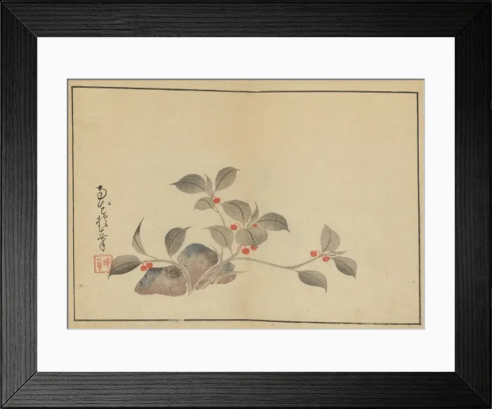 Framed Print : Sakai Hoitsu gajo (Sakai Hoitsu painting album). Creator: Hoitsu, Sakai (1761-1828) Framed Print : Sakai Hoitsu gajo (Sakai Hoitsu painting album). Creator: Hoitsu, Sakai (1761-1828)