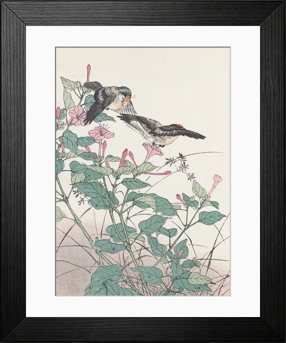 Framed Print : The Four Seasons Bird and Flower Albums (Keinen Kacho Gafu), 1891-1892. Creator: Keinen, Imao (1845-1924) Framed Print : The Four Seasons Bird and Flower Albums (Keinen Kacho Gafu), 1891-1892. Creator: Keinen, Imao (1845-1924)