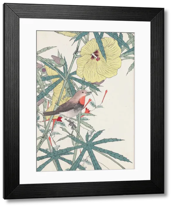 Framed Print : The Four Seasons Bird and Flower Albums (Keinen Kacho Gafu), 1891-1892. Creator: Keinen, Imao (1845-1924) Framed Print : The Four Seasons Bird and Flower Albums (Keinen Kacho Gafu), 1891-1892. Creator: Keinen, Imao (1845-1924)