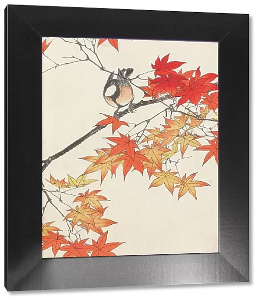 The Four Seasons Bird and Flower Albums (Keinen Kacho Gafu), 1891-1892. Creator: Keinen, Imao (1845-1924)
