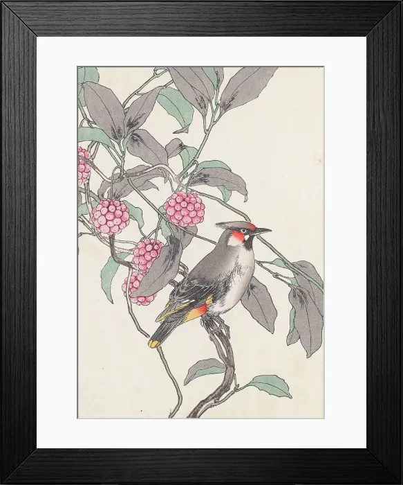 Framed Print : The Four Seasons Bird and Flower Albums (Keinen Kacho Gafu), 1891-1892. Creator: Keinen, Imao (1845-1924) Framed Print : The Four Seasons Bird and Flower Albums (Keinen Kacho Gafu), 1891-1892. Creator: Keinen, Imao (1845-1924)
