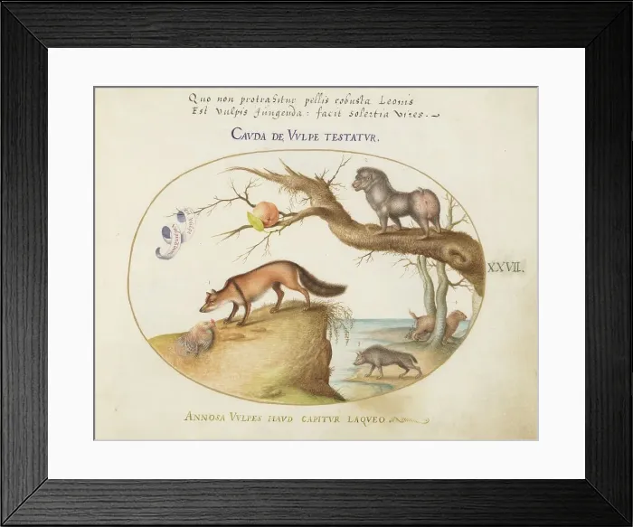 Framed Print : Animalia Qvadrvpedia et Reptilia (Terra): Plate XXVII, c. 1575 / 1580. Creator: Joris Hoefnagel Framed Print : Animalia Qvadrvpedia et Reptilia (Terra): Plate XXVII, c. 1575 / 1580. Creator: Joris Hoefnagel