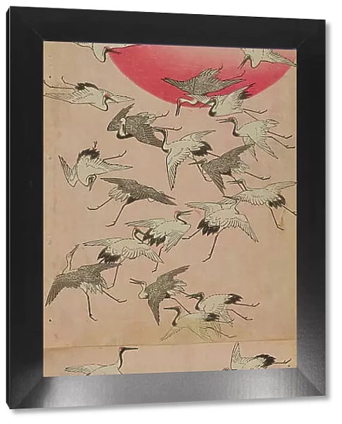 Cranes. Creator: Hiroshige, Utagawa (1797-1858)