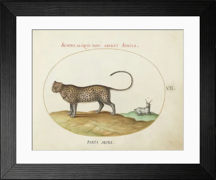 Framed Print : Animalia Qvadrvpedia et Reptilia (Terra): Plate XII, c. 1575 / 1580. Creator: Joris Hoefnagel Framed Print : Animalia Qvadrvpedia et Reptilia (Terra): Plate XII, c. 1575 / 1580. Creator: Joris Hoefnagel