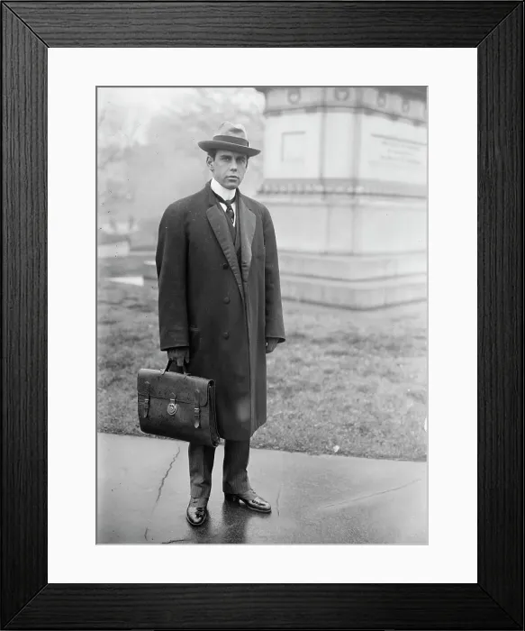 Framed Print : Wrisley Brown, Attorney, 1912. Creator: Harris & Ewing. Wrisley Brown, Attorney, 1912. Creator: Harris & Ewing Framed Print : Wrisley Brown, Attorney, 1912. Creator: Harris & Ewing. Wrisley Brown, Attorney, 1912. Creator: Harris & Ewing