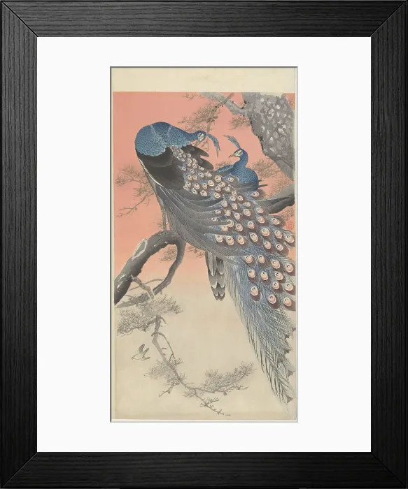Framed Print : Two Peacocks on a Tree Branch, 1900-1910. Creator: Ohara, Koson (1877-1945) Framed Print : Two Peacocks on a Tree Branch, 1900-1910. Creator: Ohara, Koson (1877-1945)