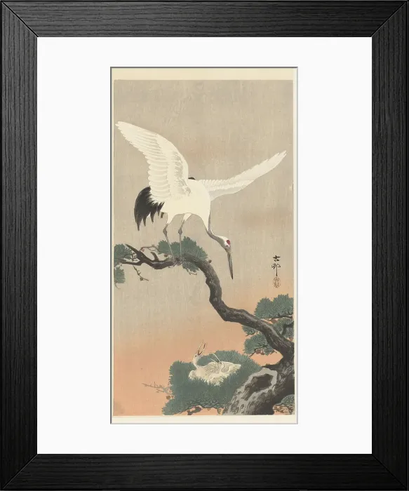 Framed Print : Japanese cranes on branch of pine tree. Creator: Ohara, Koson (1877-1945) Framed Print : Japanese cranes on branch of pine tree. Creator: Ohara, Koson (1877-1945)