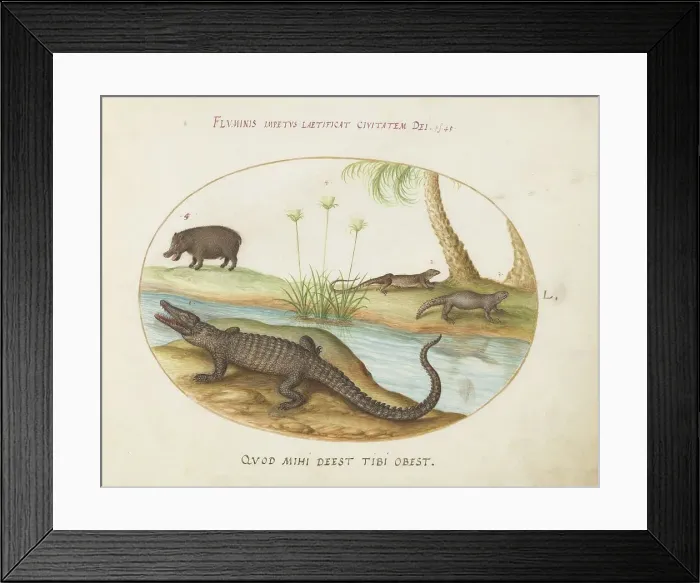 Framed Print : Animalia Qvadrvpedia et Reptilia (Terra): Plate L, c. 1575 / 1580. Creator: Joris Hoefnagel Framed Print : Animalia Qvadrvpedia et Reptilia (Terra): Plate L, c. 1575 / 1580. Creator: Joris Hoefnagel