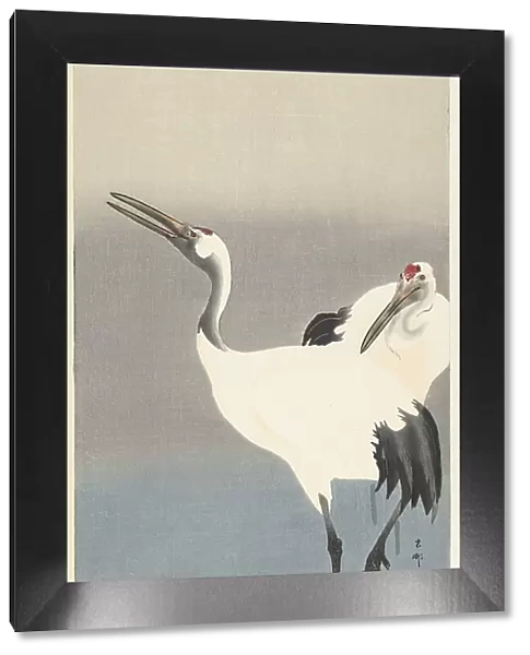 Two cranes, 1920-1930. Creator: Ohara, Koson (1877-1945)