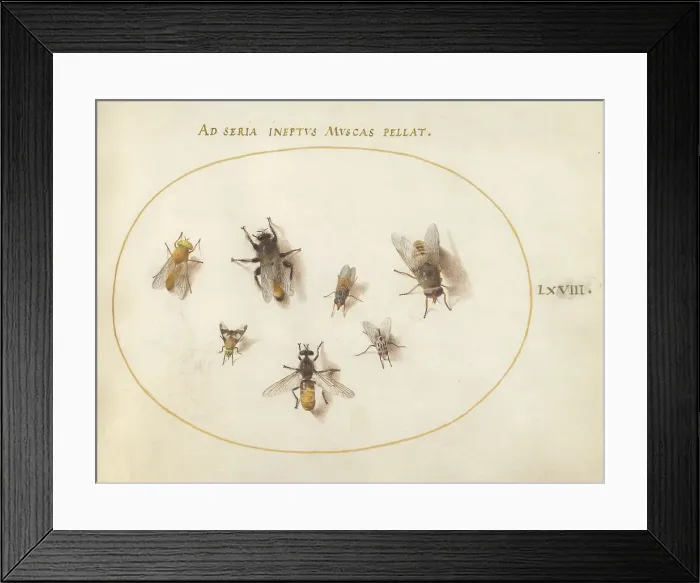 Framed Print : Plate 68: Seven Bees and Flies, c. 1575 / 1580. Creator: Joris Hoefnagel Framed Print : Plate 68: Seven Bees and Flies, c. 1575 / 1580. Creator: Joris Hoefnagel