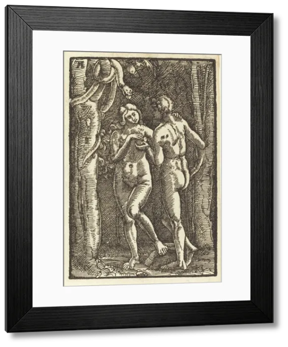 Framed Print : The Fall of Man, c. 1513. Creator: Albrecht Altdorfer Framed Print : The Fall of Man, c. 1513. Creator: Albrecht Altdorfer