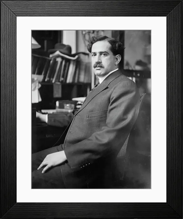 Framed Print : Dr. C.L. Alsberg, Chief, Bureau of Chemistry, 1912. Creator: Harris & Ewing. Dr. C.L. Alsberg, Chief, Bureau of Chemistry, 1912. Creator: Harris & Ewing Framed Print : Dr. C.L. Alsberg, Chief, Bureau of Chemistry, 1912. Creator: Harris & Ewing. Dr. C.L. Alsberg, Chief, Bureau of Chemistry, 1912. Creator: Harris & Ewing