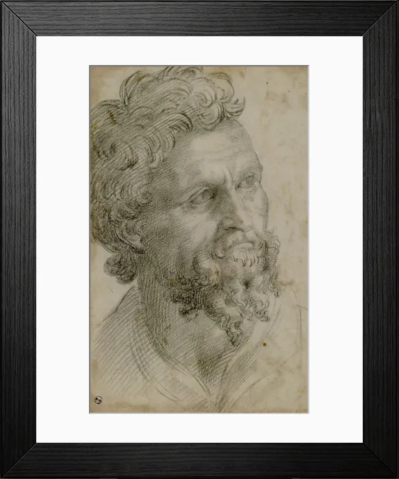 Framed Print : Self-Portrait, ca 1542. Creator: Cellini, Benvenuto (1500-1571) Framed Print : Self-Portrait, ca 1542. Creator: Cellini, Benvenuto (1500-1571)