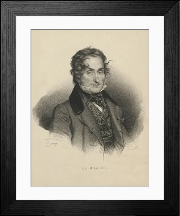 Framed Print : Portrait of the author Charles Nodier (1780-1877), 1830. Creator: Delpech, François Séraphin (1778-1825) Framed Print : Portrait of the author Charles Nodier (1780-1877), 1830. Creator: Delpech, François Séraphin (1778-1825)
